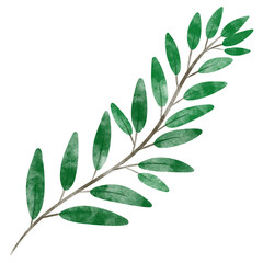 leaf in watercolor