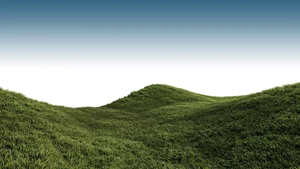 Fotobehang A 3d rendering image of grassed hill nature scenery © ohsuriya