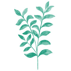 leaf in watercolor