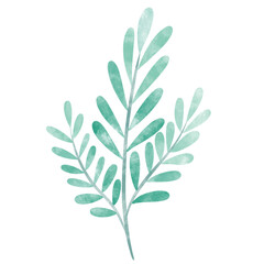 Obraz premium leaf in watercolor