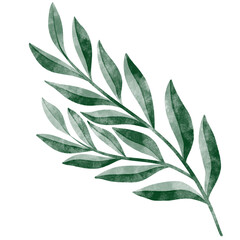 leaf in watercolor