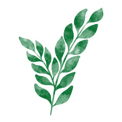 leaf in watercolor