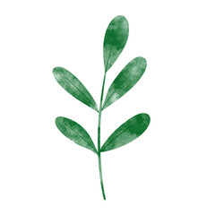 leaf in watercolor
