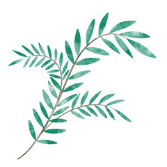 leaf in watercolor