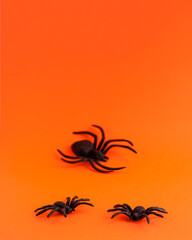 Tree black horror spiders of different sizes directions on orange backdrop with copy space. Halloween decoration spooky background concept for holidays