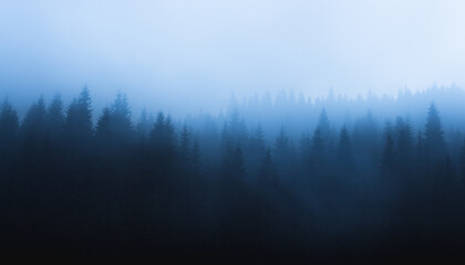 Foggy scene in the middle of the forrest