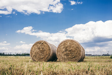 hay bales in the field
