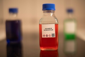 Vanadium Nitrogenase