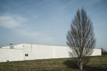 white house in the field