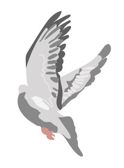 Flying gray dove isolated on white background Grey bird in side back view Vector illustration in flat cartoon style Hand drawn clipart