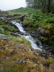 Naklejka na ściany i meble Waterfalls along the way while climbing the hill Penygader (Dolgellau)Cadair Idris, National Park Snowdonia in Wales, UK 2022.