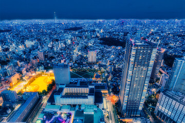Fototapeta premium 池袋夜景