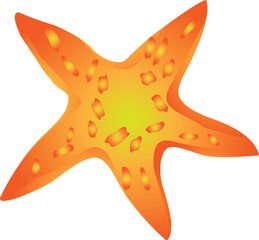 Starfish undersea ocean sea for decorative
