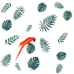 Macaw bird and tropical green leaf pattern background