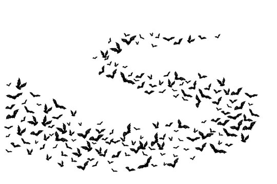 Halloween flying bats. Decoration element from scattered silhoue