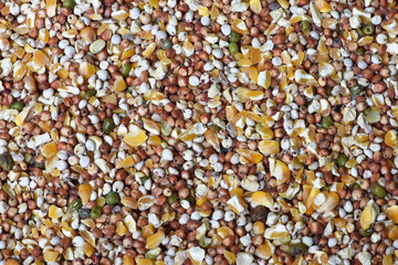 Texture of seed and grain mix for bird feed and livestock .