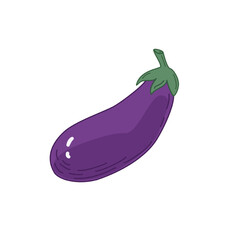 Eggplant vector illustration isolated on the white background