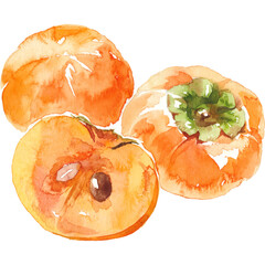 柿の水彩画