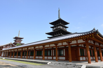 奈良市の世界遺産薬師寺の国宝東塔と西塔