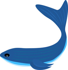 Whale dolphin fish swim underwater sea for decorative