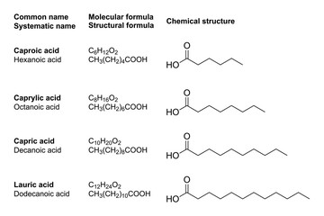 Obraz premium Medium-chain fatty acids, MCFAs, chemical structures. Contained in medium-chain triglycerides, who produce more ketone bodies than normal dietary fats, hence they are used in a ketogenic diet. Vector.
