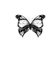 hand-drawn butterfly sketch, top view, isolated black outline randomly arranged on white Retro line art pattern with black butterfly pattern sketch on white background