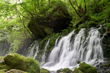 Obraz premium 元滝伏流水