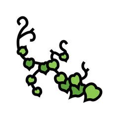 liana plant color icon vector. liana plant sign. isolated symbol illustration