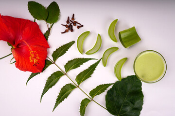 Fototapeta na wymiar Aloe Vera very useful herbal medicine for skin treatment and use in spa for skin care.