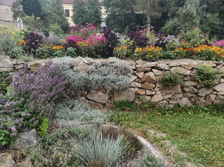 flowers flowering on the rocks in the garden