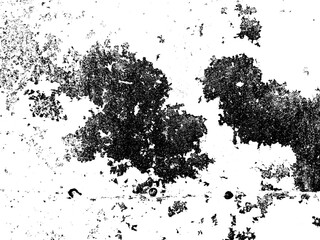 Grunge vector background. Urban old peeled wall.