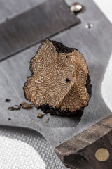 Mushroom truffle