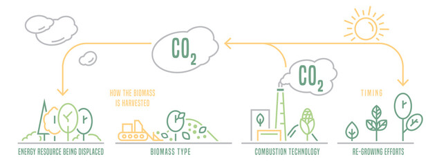 Biomass energy landscape poster with useful infographics