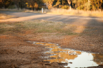 Afternoon light reflected in a mud puddle by the roadside