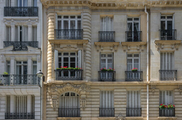 Fototapeta na wymiar French balconies in Paris with flower, full frame