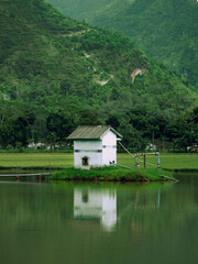 Fototapeta na wymiar small house on the lake. fresh green themed background.