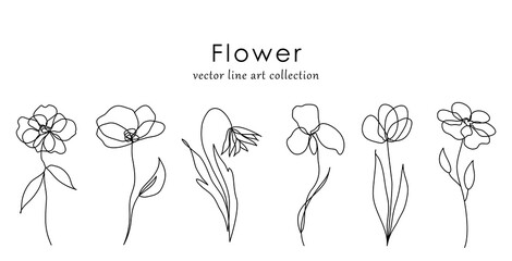 Minimal botanical hand drawing design for logo and wedding invitation. Floral line art. Flower and leaves design collection for bouquets decoration, card and packaging background