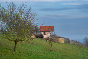 View of a small hut on a hiking trail along the Wißberg/Germany in Rheinhessen