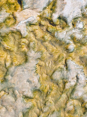 Fondo de algas secas tipo musgo en la orilla del Mediterráneo