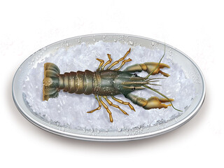 écrevisse, fruits de mer, aliment, poisson, crustacé, glace pilé, plateau, brasserie, lux, frais, bon vivant, gros plan, fraîcheur, antennes, nature, fleuve, mer