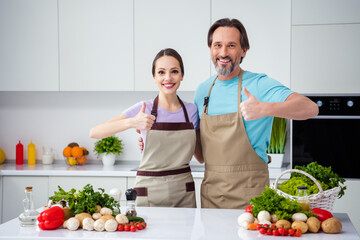 Portrait of two positive satisfied people embrace hand finger demonstrate thumb up kitchen indoors