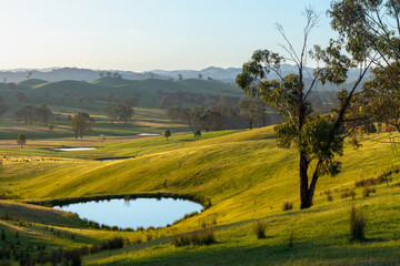 Rural landscape with undulating green hills