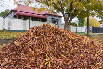 Low angled view of a pile of autumn leaves in front of a house with a picket fence