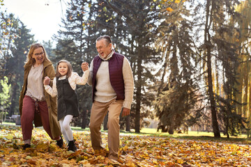 Naklejka na ściany i meble Senior couple with granddaughter walking at the park during the autumn