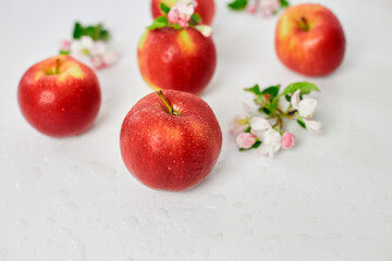 Apple flowers and ripe red apples flat lay on a white  background, Fruits and flowers, sping concept. Top view