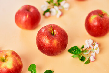 Apple flowers and ripe red apples flat lay on a pastel orange background, Fruits and flowers, sping concept. Top view