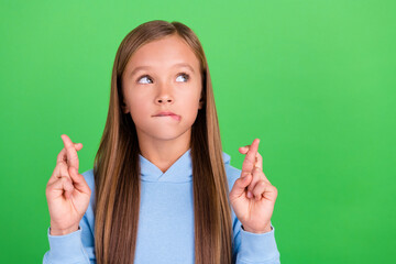 Fototapeta Close up photo of funky small girl fingers crossed worry exam results dressed stylish blue sweatshirt isolated on green color background obraz