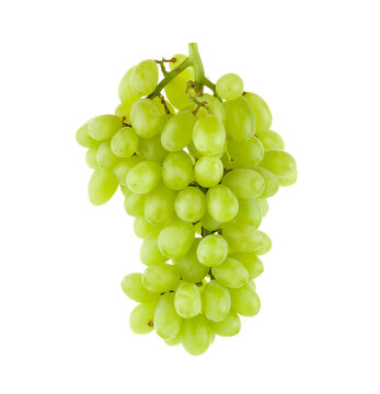 Grapes Isolated ontransparent png