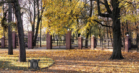 View of the autumn park
