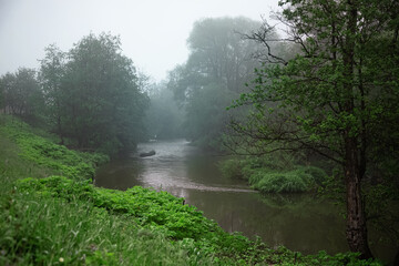 Fototapeta na wymiar A small river in the forest. Foggy morning. A mystical place. An ominous dark forest.